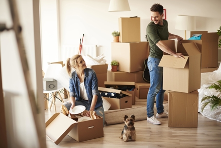 Understanding Cohabitation in NJ